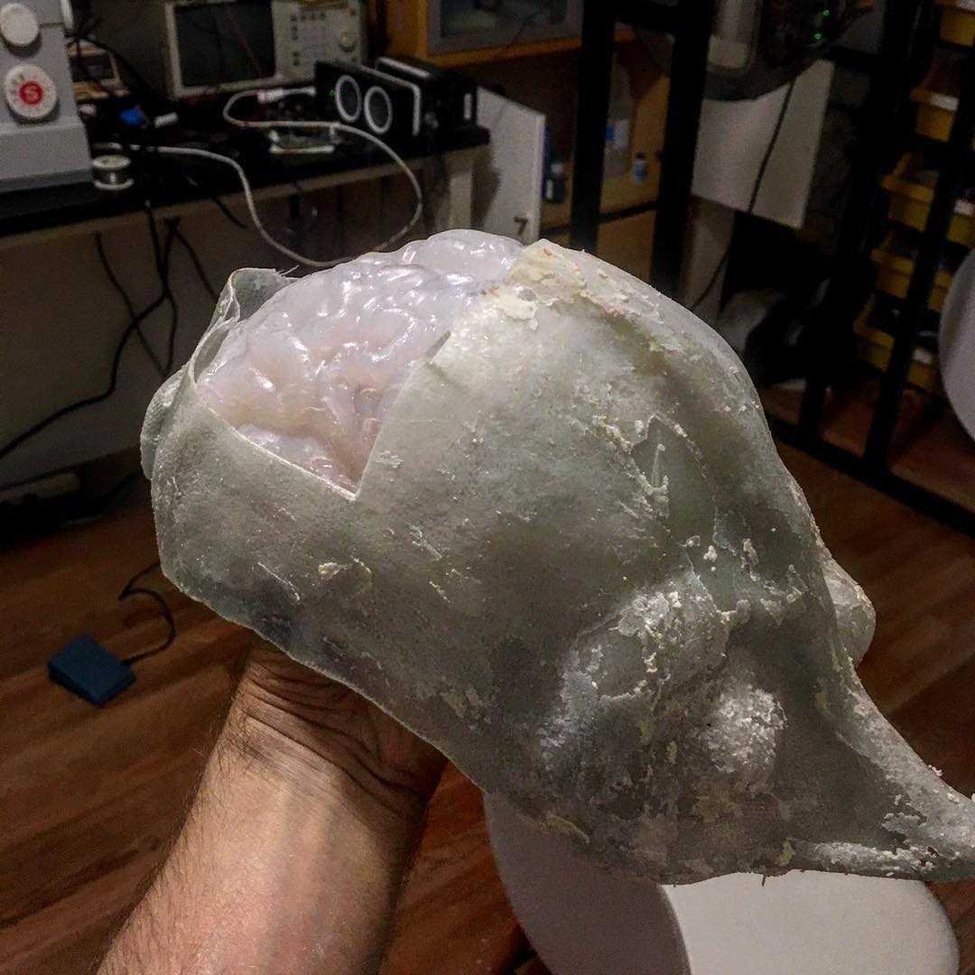 Fiberglass robot head with silicone brain